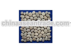 Marble & Pebble Mosaic