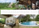 Villas In Ubud