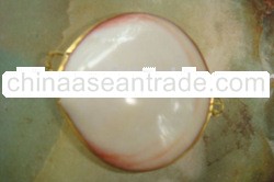 Clam Shell Coin Purse