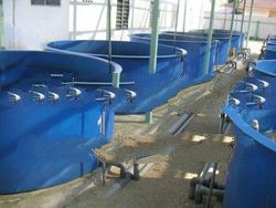 Fiberglass Containers