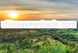 Ocean View Land in Pecatu
