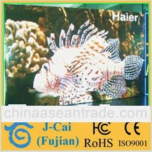 high brightness led display price modules