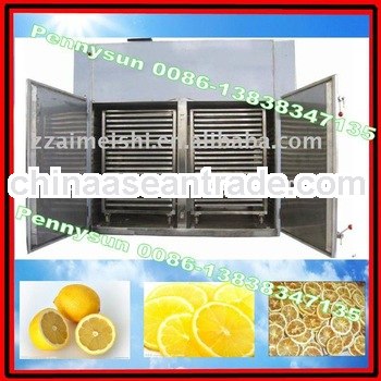 high efficiency lemon chips drying machine/fruit chips dryer machine(0086-13838347135)