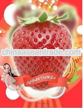 high quality Glossy oil canvas