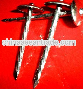 high quality and lowest price roofing nails