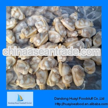 high quality frozen short necked clam