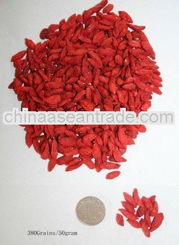 high quality goji wolfberry for sale