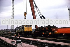 high quality lifting Chain sling with hooks