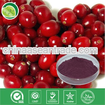 high quality organic powder dried cranberry