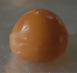 giant natural pearl cassis for collector