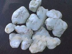 kolang kaling pebble