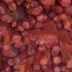 Red Agathis Wood Agarwood