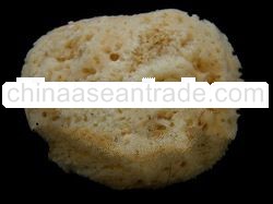 sponges bleach 1-2 inches