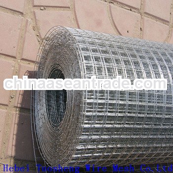 hot sale! electro galvanized welded wire mesh(anping factory)