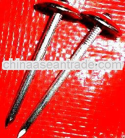 hot sales umbrella roofing nails
