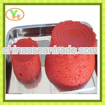 hot sell canned tomato pasta for nigeria