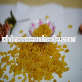 hot sell gold sultana raisin chinese origin sultana grape