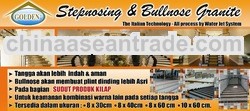 STEPNOSING & PLINT GRANITE TILE