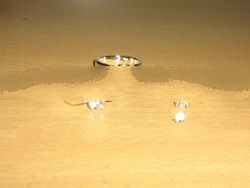 Ring Silver-Sirconia 1