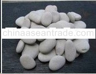 Timor Light Grey Natural Stone