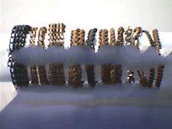 Agsam Bracelets (wet & Wear)