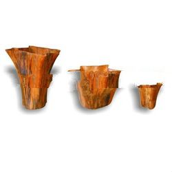 Planter Teak Root