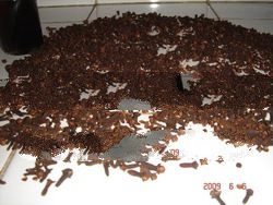 Clove Bud, Clove Stem and Clove leaf oil at good price and quality from