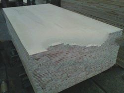 MLH F/B Falcattacore Blockboard