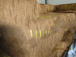 Golden brown Colour Coconut Fibre