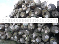 Teak