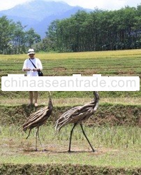 Driftwood Root Cranes