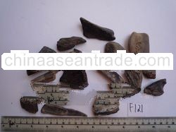 set of prehistoric stone