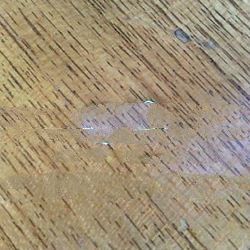 925 Sterling Silver Bead Cap with Web Net 8.00 mm