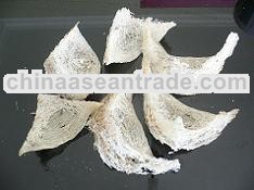 Triangle Raw Bird Nest