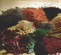 Spices from Paku Bumi Consortium