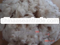 cotton comber noil