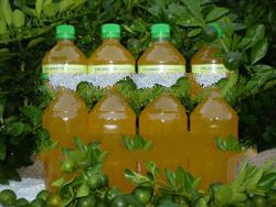 Philippine Lemon Concentrates