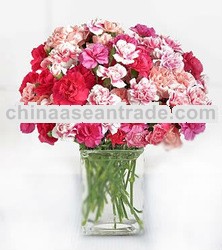 Flower Shop Navotas City