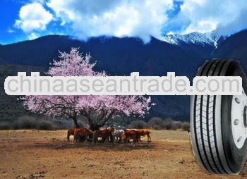 import cheap truck tyre/tire from china 285/75R24.5 295/75R22.5 7.00R16