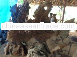 Teak Root Carving Dragon