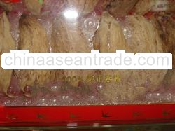 YanWoh.BirdNest.Swiftlet