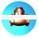 Brass or Bronze Check Valve Threaded Ends