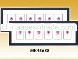 Picture Manufacturer Frame