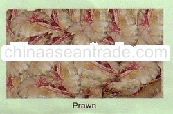 Prawns