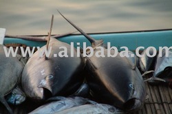 Fresh and Frozen Tuna products,Tuna value-added products