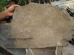 Java Brown Slate Tile