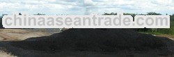 Steam Coal