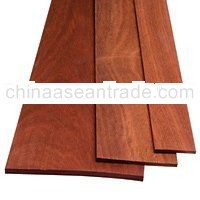 Bloodwood