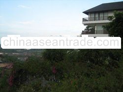 1000 sqm land for sale in Bali,