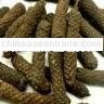 Lampung Long Pepper